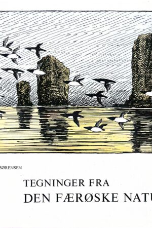 Tegninger fra den færøske natur, Lasse Sørensen 1972